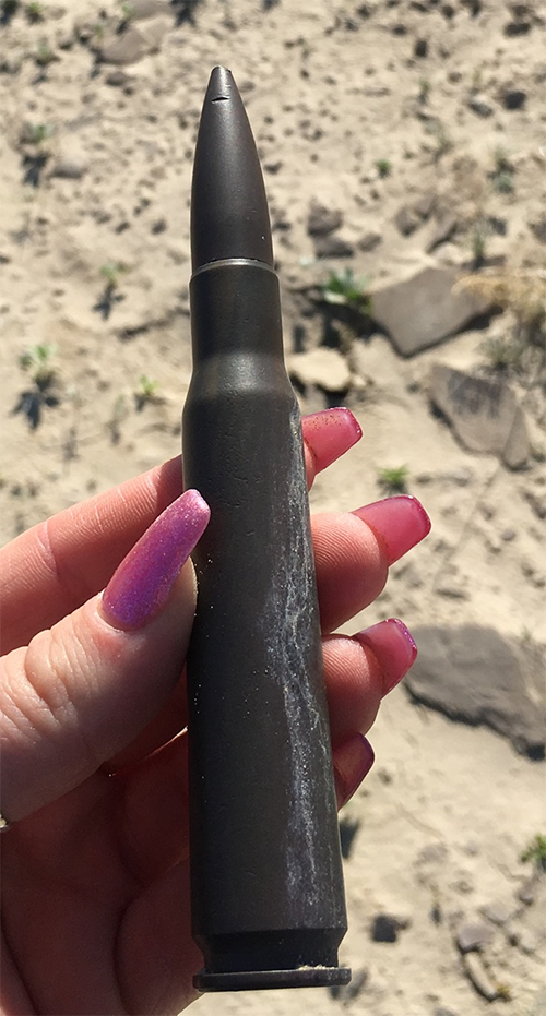 OWSVRA_50 cal bullet still in shell casing, primer not struck